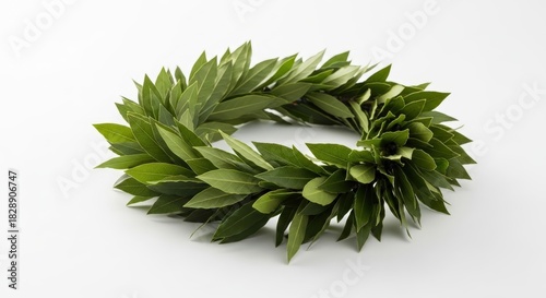 A vibrant green laurel wreath, traditionally symbolizing victory and honor, resting on a clean white background.