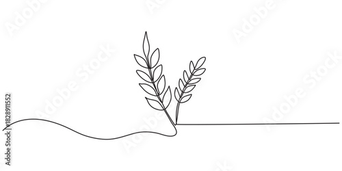 Ears of  wheat  one continuous line drawing .Fall harvest line art. Vector  one line of spikelet . Thanksgiving symbol.Grain, One continuous line. Spikelet of wheat. Spikelet of a cereal plant. Flat.