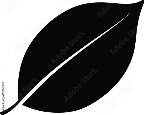 Silhouette of a leaf with central vein