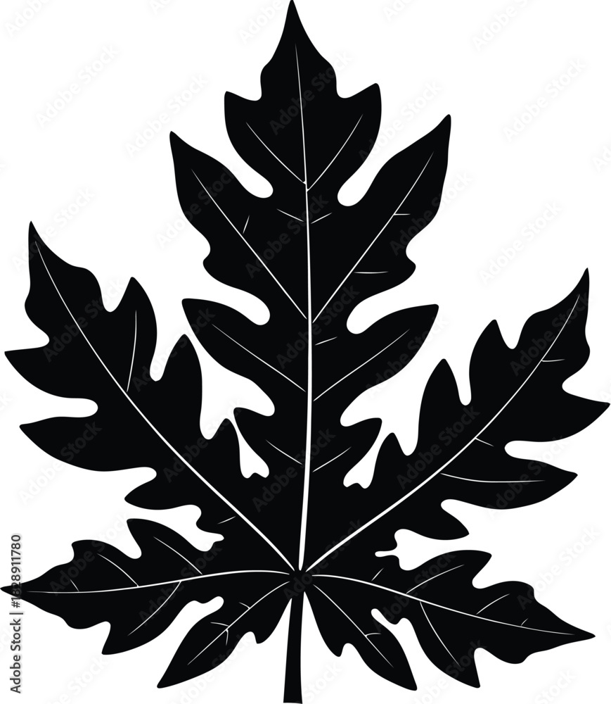Fototapeta premium Silhouette of a papaya leaf