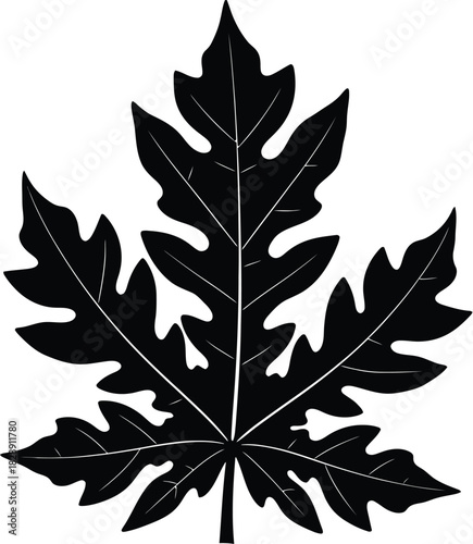 Silhouette of a papaya leaf