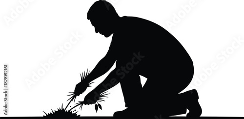 Silhouette of a person weeding the ground