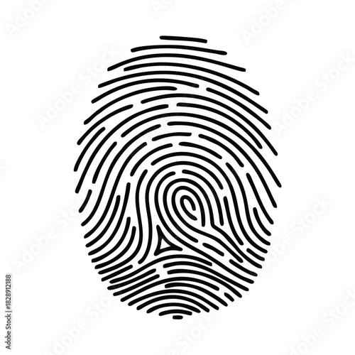 Detailed Fingerprint Illustration A Unique Identification Mark