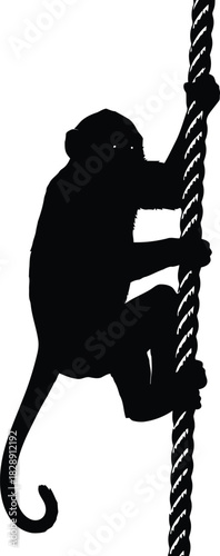 Silhouette of a monkey climbing a rope
