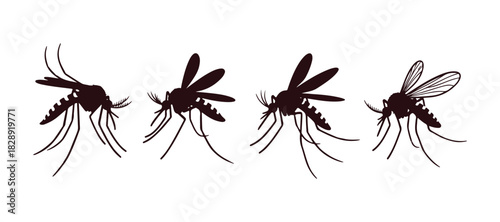 Mosquito icon collection

