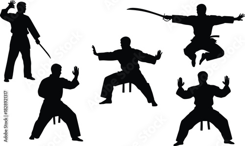 Martial arts vector silhouettes, dynamic figures practicing self-defense, featuring weapon forms, intense katana sword action, kung fu, karate, and traditional eastern fighting techniques