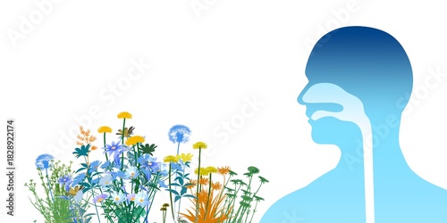 3D illustration of the upper respiratory system (ENT) alongside flowers, plants, and pollen that trigger spring allergies. Front view with flat color graphic style on a white background.