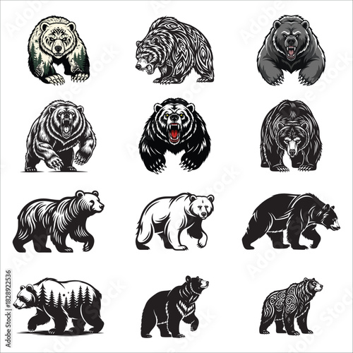 Collection of  bear  silhouette vector illustrations in various poses and styles