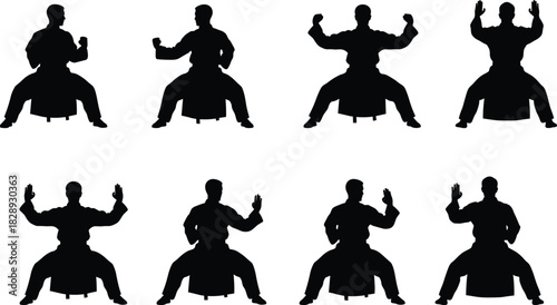 Karate stance silhouettes set, various martial arts poses, training, practice, self-defense, discipline, strength, power, focus, black, vector, illustration, graphic, dynamic.