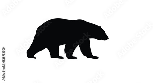 A simple black silhouette of a large walking bear, a powerful vector graphic illustration isolated on a white background, concept 109.eps