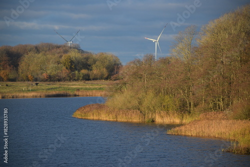 Spaziergang im herbstlichen Naturschutzgebiet Winderatt in Schleswig-Holstein