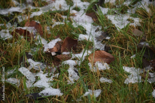Spaziergang im herbstlichen Naturschutzgebiet Winderatt in Schleswig-Holstein