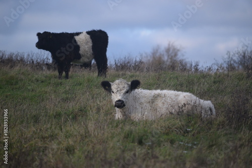 Spaziergang im herbstlichen Naturschutzgebiet Winderatt in Schleswig-Holstein