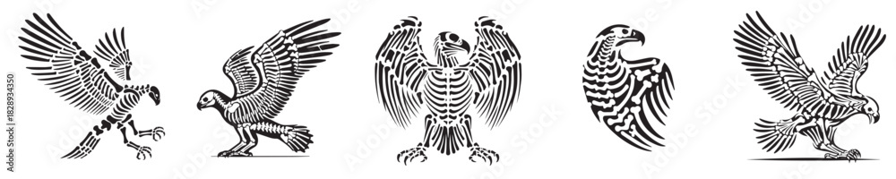 Fototapeta premium set of vector eagle skeleton silhouettes