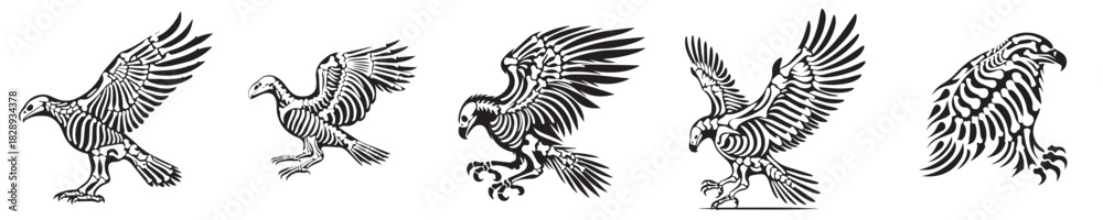 Fototapeta premium set of vector eagle skeleton silhouettes