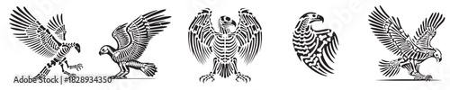 set of vector eagle skeleton silhouettes
