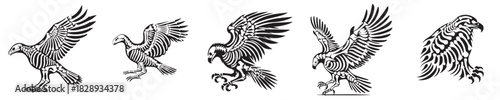 set of vector eagle skeleton silhouettes