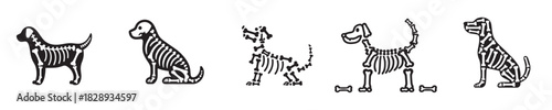 vector set of dog bone skeleton silhouettes