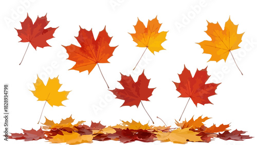 Collection of Falling Autumn Maple Leaves Vector Art Illustration Isolated on Transparent Background Seasonal October Foliage Decoration Nature Branch Forest Design.