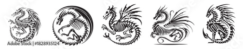 a set of vector silhouette dragon bone skeletons