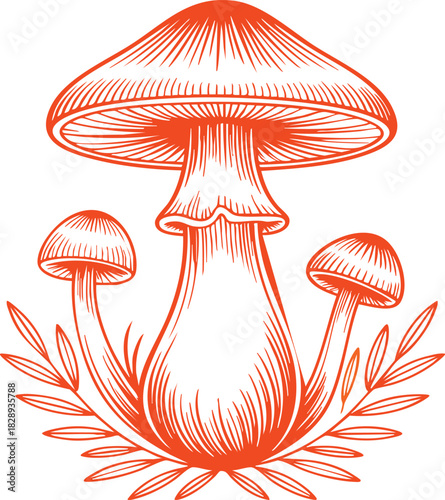 vector illustration of mushrooms