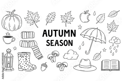 Autumn season: pumpkin, leaves, and cozy elements illustrations