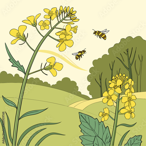 Two bees pollinating bright yellow rapeseed flowers in a lush green countryside landscape