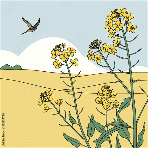 A bird flies over a field of bright yellow rapeseed flowers under a blue sky with clouds