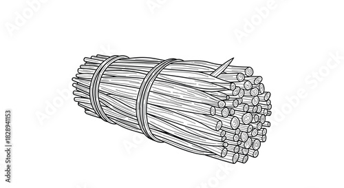 Detailed monochrome drawing of a tightly bound bundle of dry natural stalks, possibly lemongrass or reeds, secured with string.