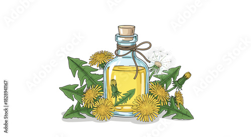 Illustrated glass bottle of dandelion oil extract surrounded by yellow flowers, green leaves, and a seed head, depicting natural herbal medicine.