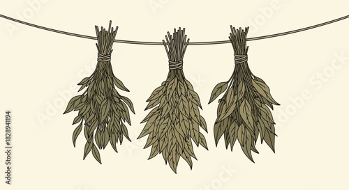 Three bundles of natural green herbs, possibly eucalyptus or sage, tied and hung upside down on a string to dry in a rustic setting.