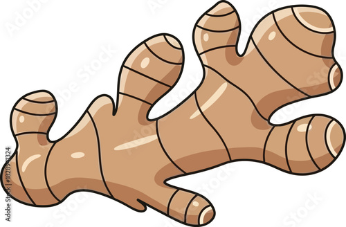 Ginger Root Illustration with Brown Skin | Spice & Cooking Graphic
