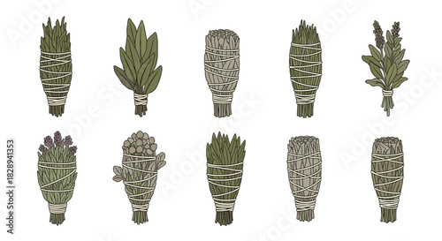 A diverse collection of illustrated smudge sticks and dried herb bundles, featuring various plants like sage and lavender, used for cleansing.