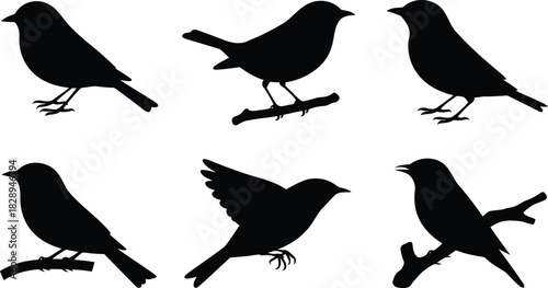A collection of various black bird silhouettes displayed against a clean white background