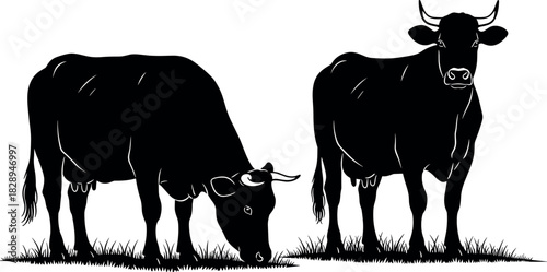 Two black cow silhouettes, one standing and one grazing in grass, representing cattle farming, dairy industry, agriculture, and livestock vector icons.