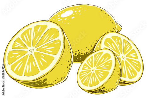 fresh yellow lemons illustration with sliced halves showing citrus fruit segments hand drawn style artwork