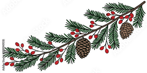 christmas evergreen pine branch with red berries and pine cones festive holiday decoration swag illustration