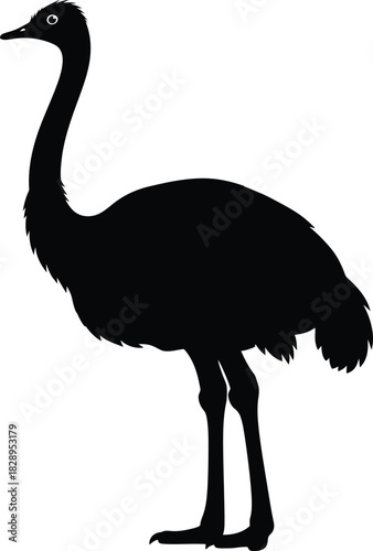 Elegant ostrich silhouette standing tall in profile against a clean white background perfect for wildlife designs and illustrations