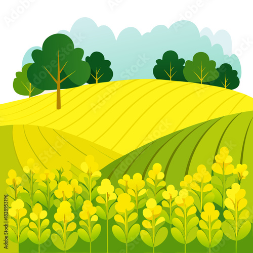 Delightful countryside scene with rolling hills of vibrant yellow canola fields and lush green trees, perfect for spring landscapes and agricultural themes, originally created as scalable vector art
