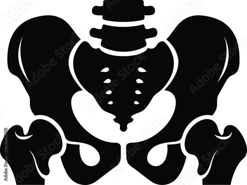 Pelvic bone anatomy silhouette a detailed illustration of the human pelvis structure including the sacrum ilium pubis and ischium in black and white
