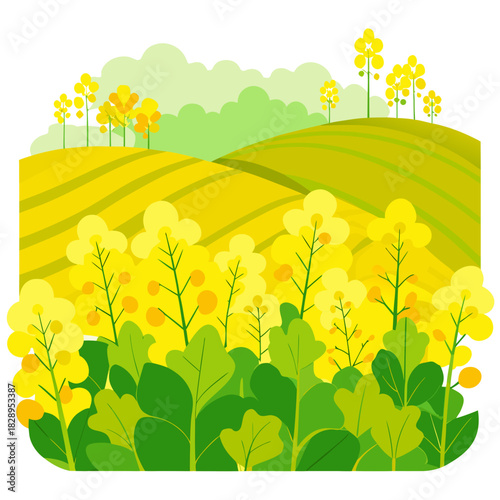 Vibrant canola fields under a sunny sky create a cheerful, idyllic scene perfect for spring promotions and nature-themed designs, bringing freshness and joy to your projects