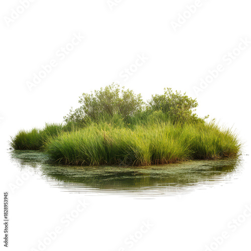 Lush green island surrounded by calm water in a serene natural setting during daylight hours