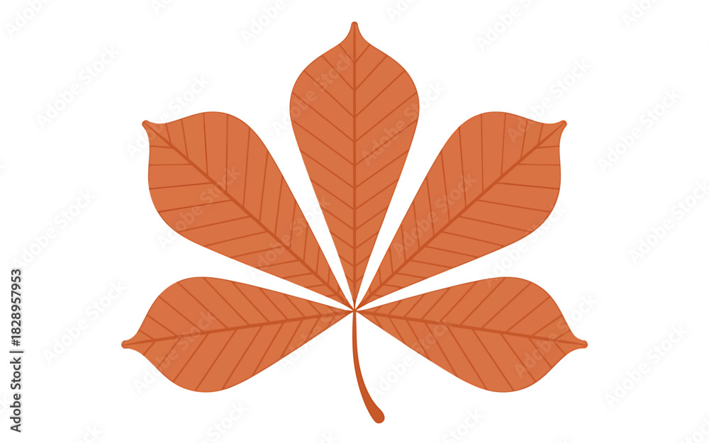Naklejka premium Stylized autumnal horse chestnut leaf graphic isolated on white