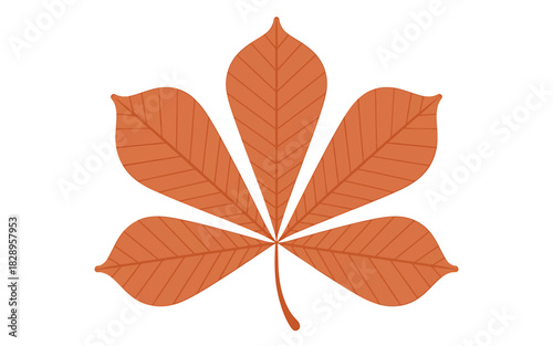 Stylized autumnal horse chestnut leaf graphic isolated on white