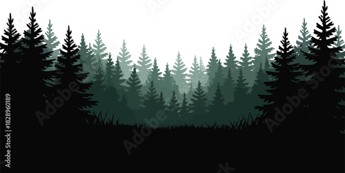 A serene dark forest silhouette with layers of evergreen trees and grass creating a mystical outdoor scene