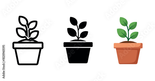 Progression of plant icon from outline to full-color illustration