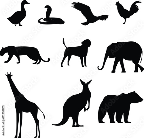 Animal silhouettes collection featuring farm and wildlife species including birds, mammals, and exotic animals for design, illustration, decoration, and educational projects
