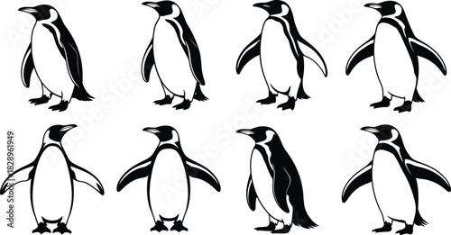 A striking collection of eight black and white penguin illustrations standing upright on a clean white background
