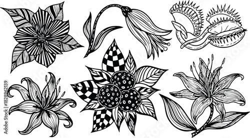 Hand drawn vector art set of six fantasy flowers including venus flytrap lily and bell bloom with bold black linework and ornamental pattern details