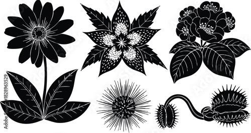 Black silhouette vector art of five exotic flower and carnivorous plant icons with bold leaves and spikes in horizontal arrangement on white background